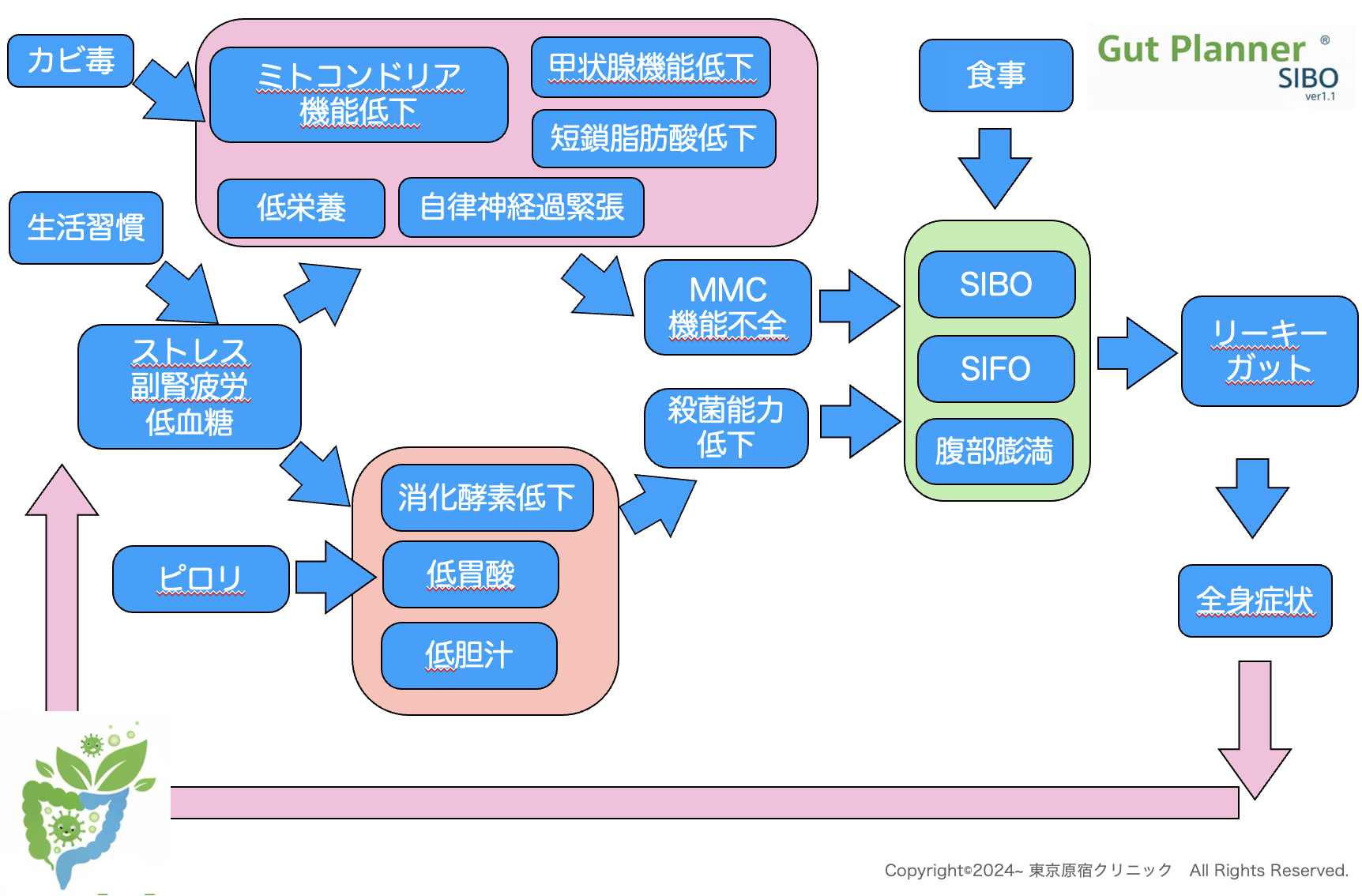 SIBOの病態関連図
