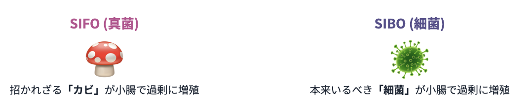 SIFOとSIBOの違い