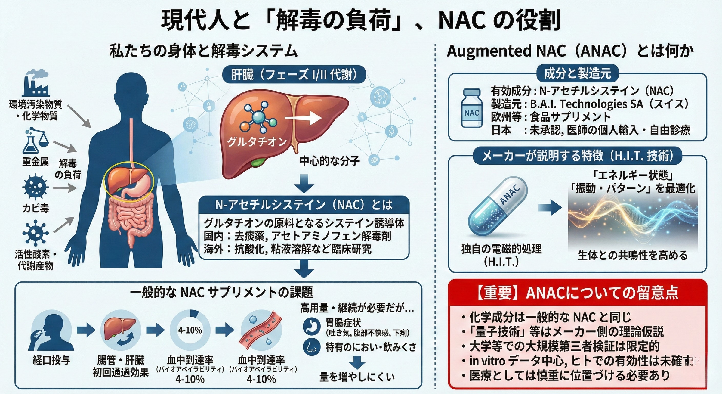 現代人と解毒ANAC