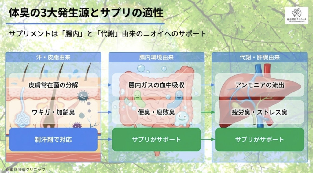 体臭サプリの有用性