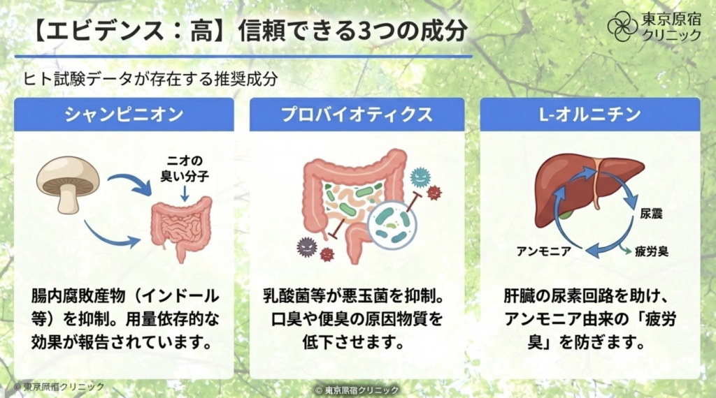 体臭　尿素回路　オルニにチン
